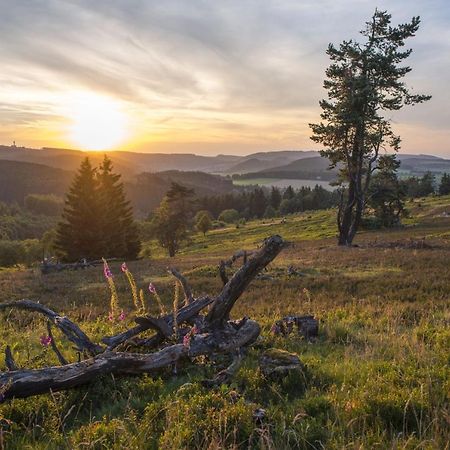 Fewo Poenblick Виллинген Экстерьер фото